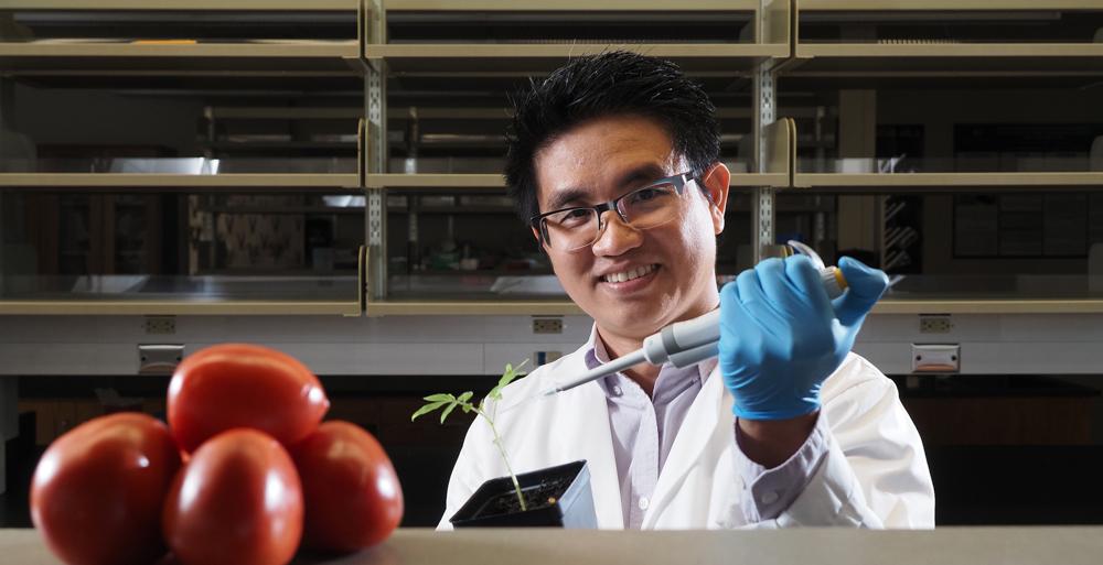 Dr. Tuan Tran, 十大彩票网投平台生物学助理教授, was awarded a $40,美国农业部和阿拉巴马州农业和工业部提供了1万美元的资金，用于研究一种土壤细菌，这种细菌会导致番茄等作物枯萎, peppers and potatoes. 